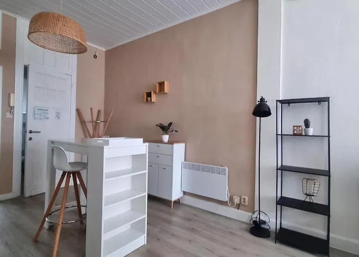 شقة De Zeebries *